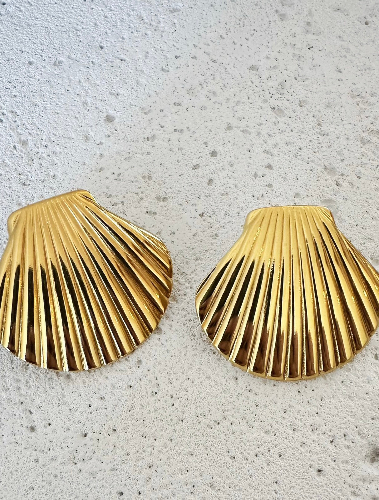 Shell Earrings